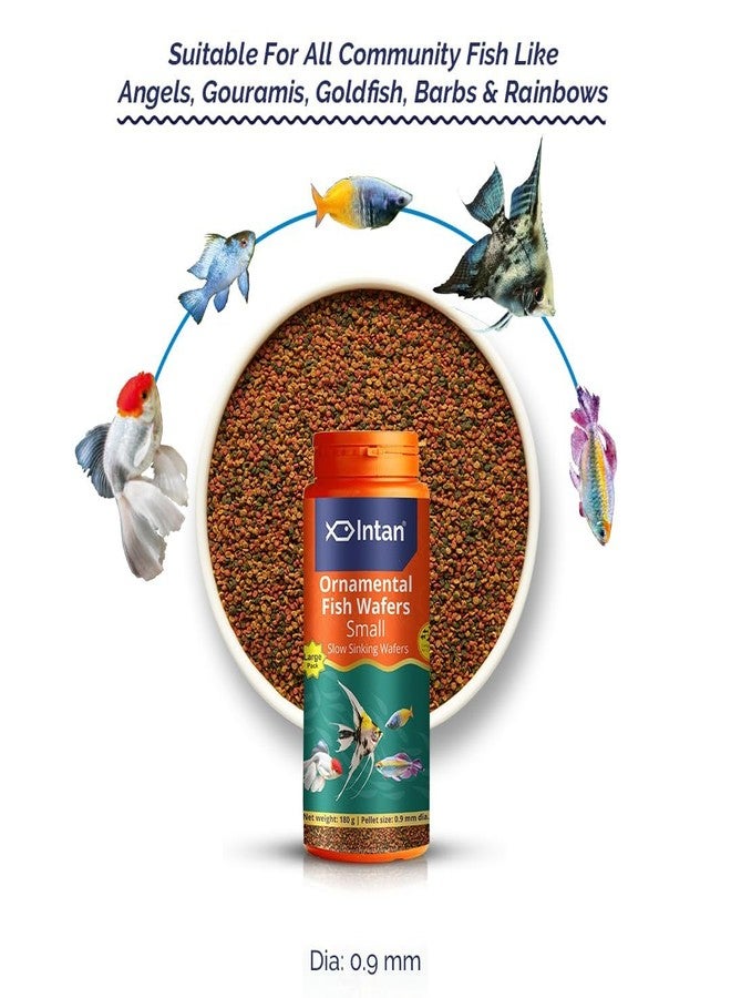 كينكو إنتان طعام أسماك الزينة المائية | رقائق صغيرة بطيئة الغرق لأسماك الزينة | رقائق لصحة ونمو الأسماك | عبوة كبيرة (180 جم) - Image 2